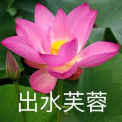 能量起源手游破解版下载